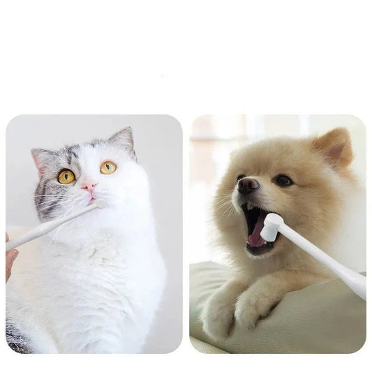 Eco-Friendly Soft Round Pet Toothbrush for Comfortable Pet Grooming & Dental Care