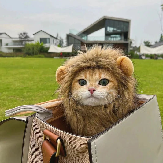 Lion Mane Cat Wig - Funny Pet Lion Costumes for Feline Fun