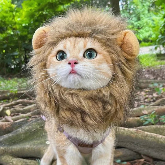 Lion Mane Cat Wig - Funny Pet Lion Costumes for Feline Fun