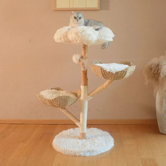 Natural Fruit Wood Climbing Flower Bed Tree