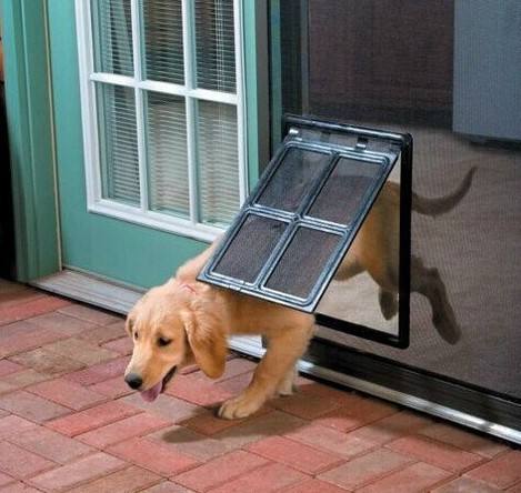 Pet Screen Door for Mosquito Free Access for Cats and Dogs (Small and Large)