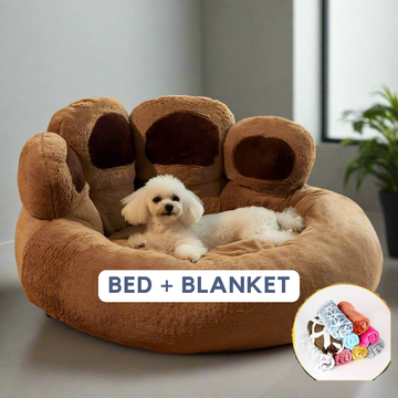 Short Plush Dark Curry+Blanket
