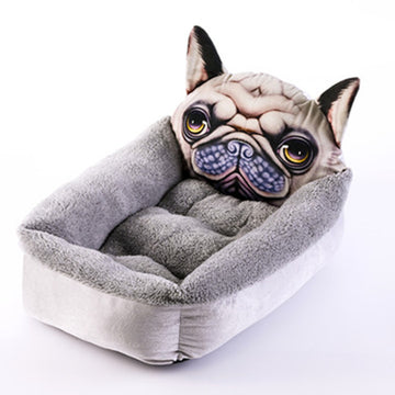 Grey Sand Dog