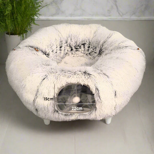 Cat Winter Donut Home