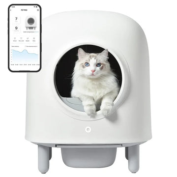 1 litter box