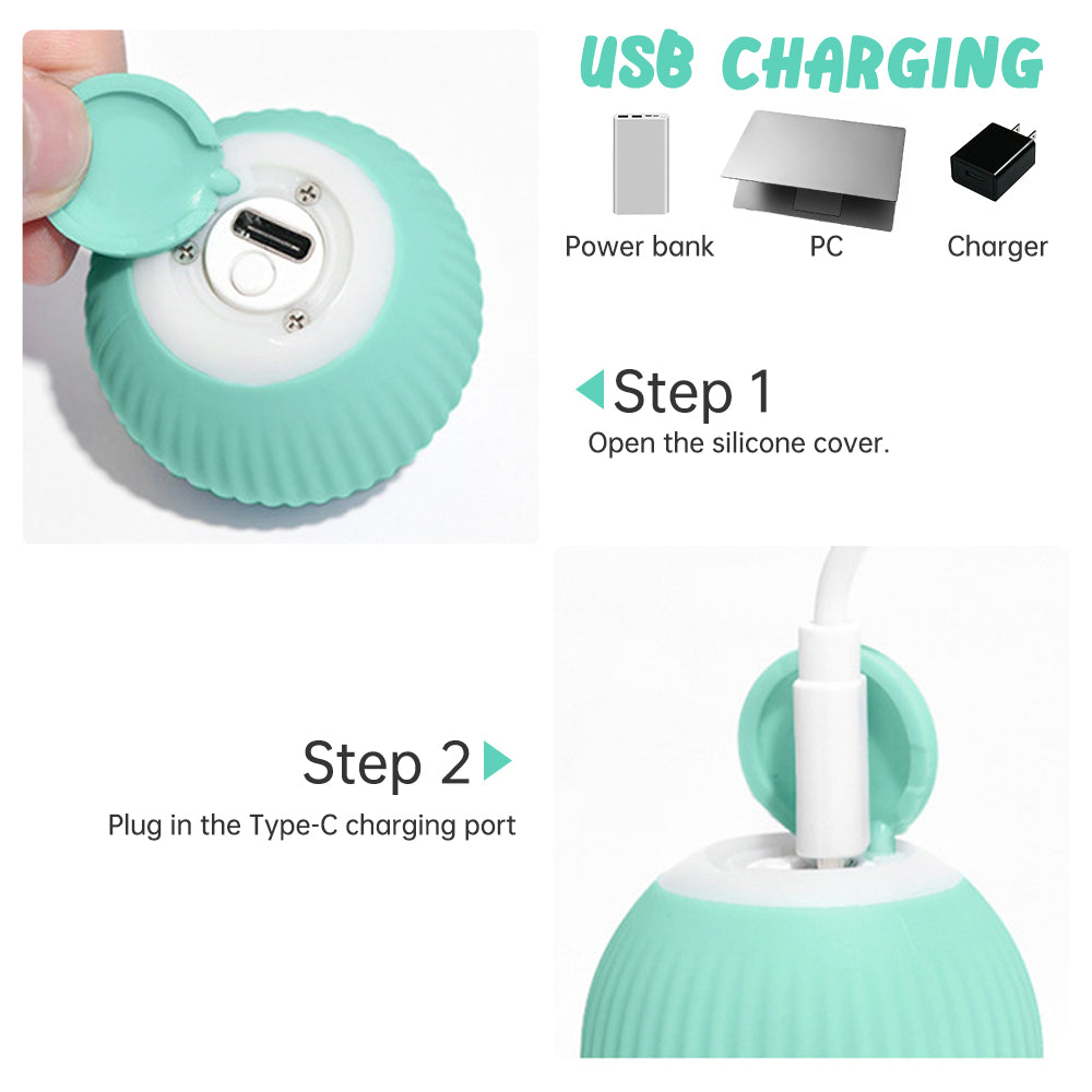 Electric Gravitational Rolling Exercise Ball