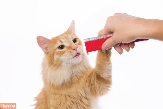 Delectables Chicken & Cat Nip, Tuna & Catnip, Tuna & Salmon Cat Nip Squeeze Up™ Cat Treat, 20 Pack