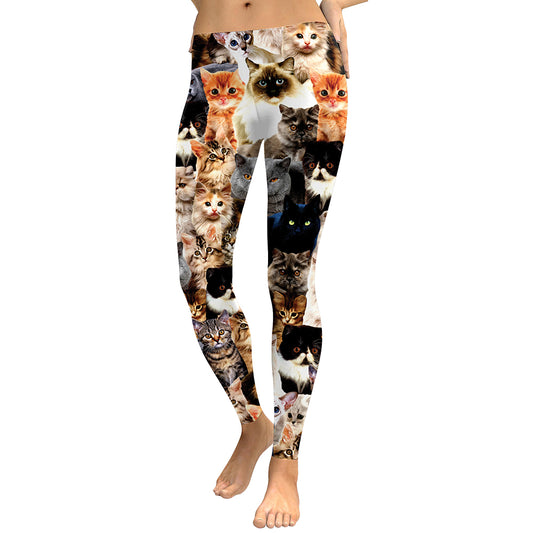 Holographic Cat Women's High Waist Fitness Leggings