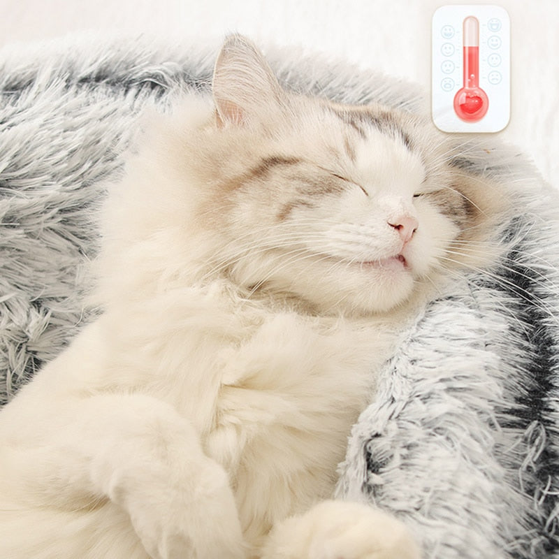 Soft Plush Round Cat Cove