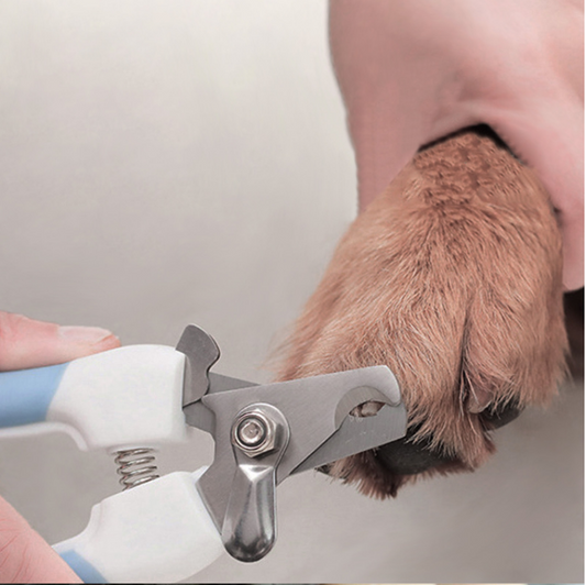 Professional Stainless Steel Nail Clippers