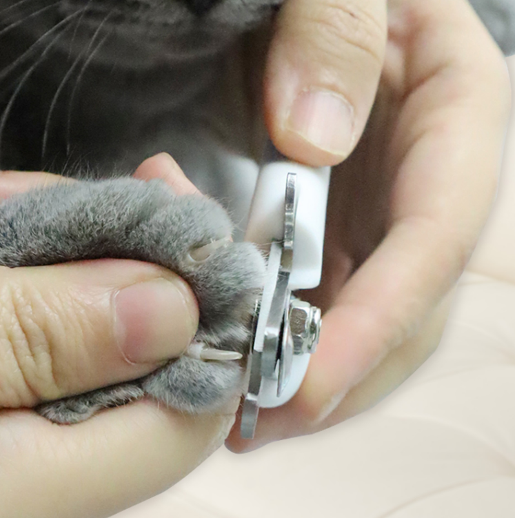 Professional Stainless Steel Nail Clippers