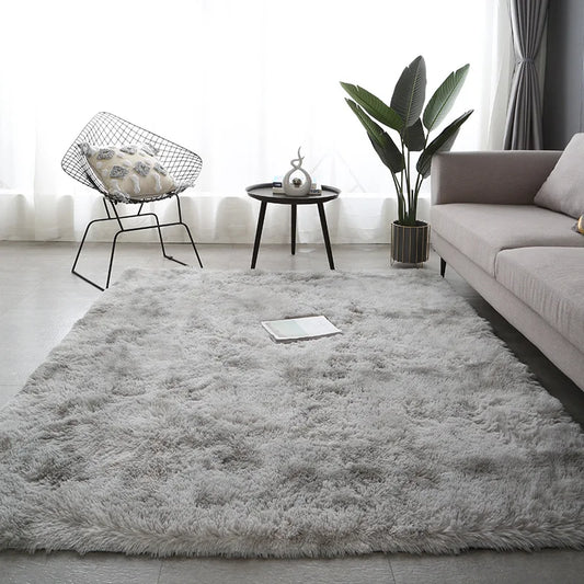 Modern Fluffy Anti-Slip Washable Carpet for Living Room