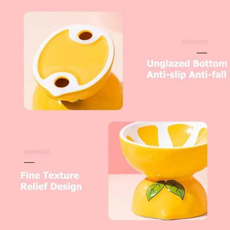 Ceramic Cervical Neck Fruity Cat Bowls