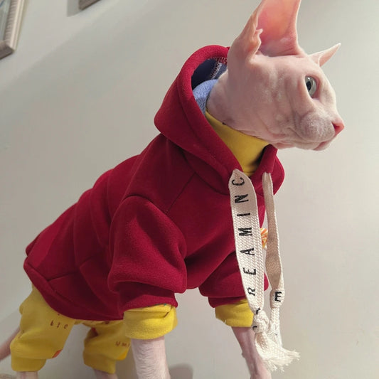 Sphynx Winter Cat Sweatshirt and Undercoat
