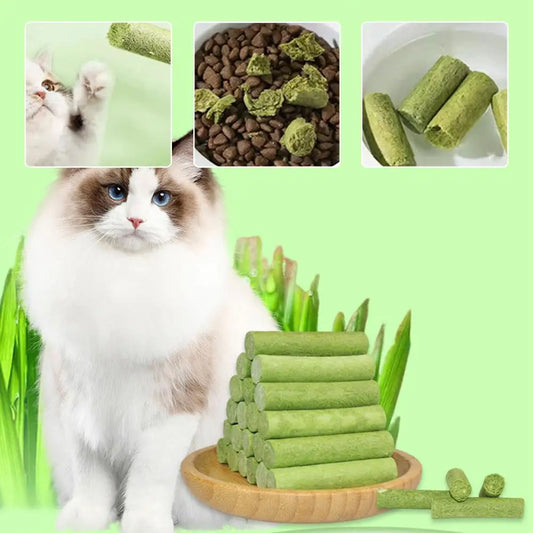 Cat Grass Teeth Grinding Stick (6 Pieces)
