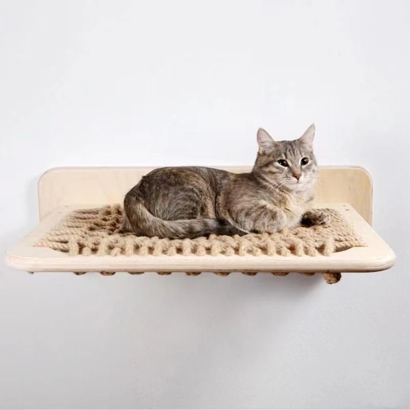 Wall Mounted Hammock Hanging Rack and Climbing Frame