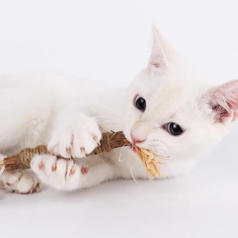 Cat Toys Silvervine Chew Stick for Cleaning Teeth with Silvervine, Hemp, and Lafite Grass