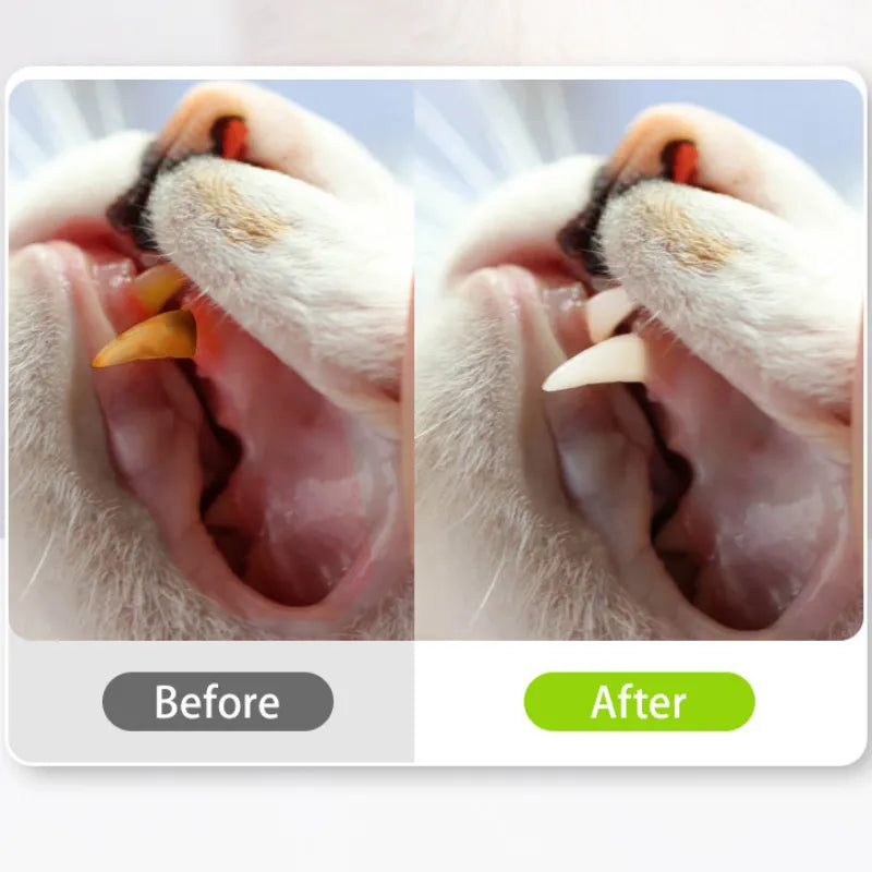 Cat Toys Silvervine Chew Stick for Cleaning Teeth with Silvervine, Hemp, and Lafite Grass