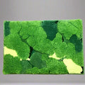  style8-40x60cm