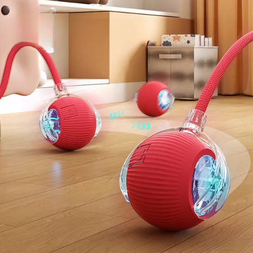 Cat Automatic Rolling Ball