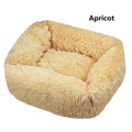  Apricot