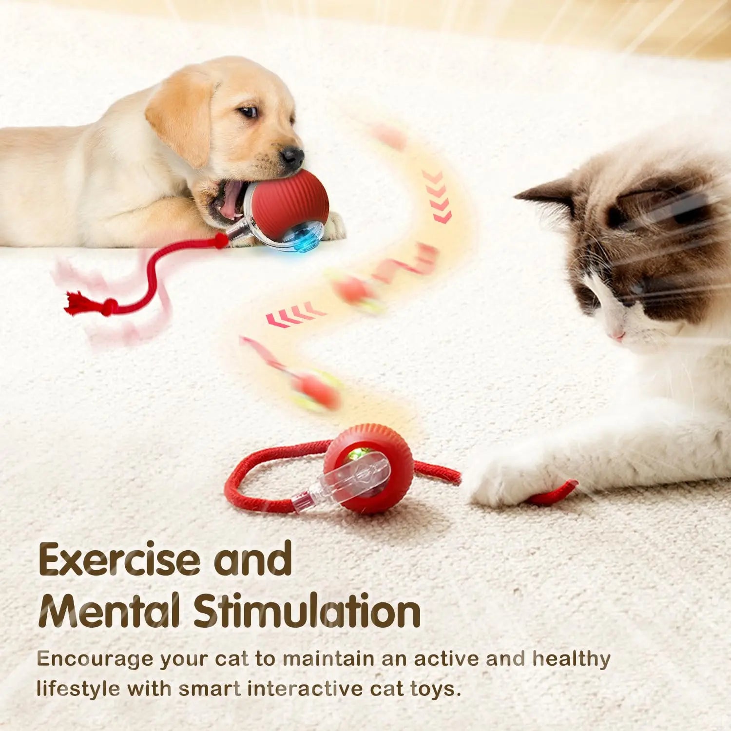 Cat Automatic Rolling Ball