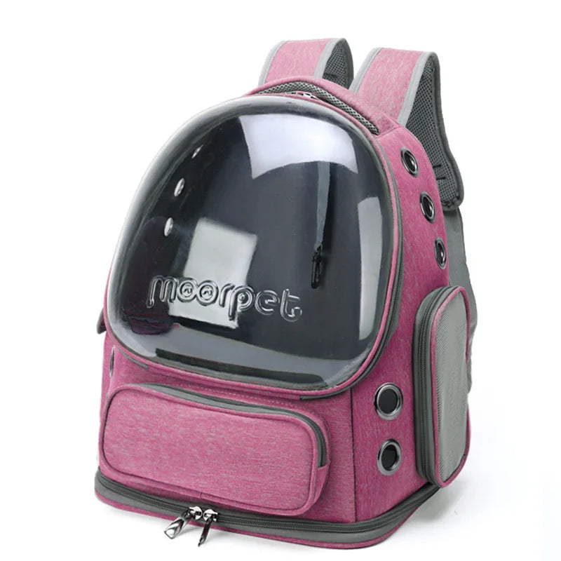 Transparent Cat Carrier