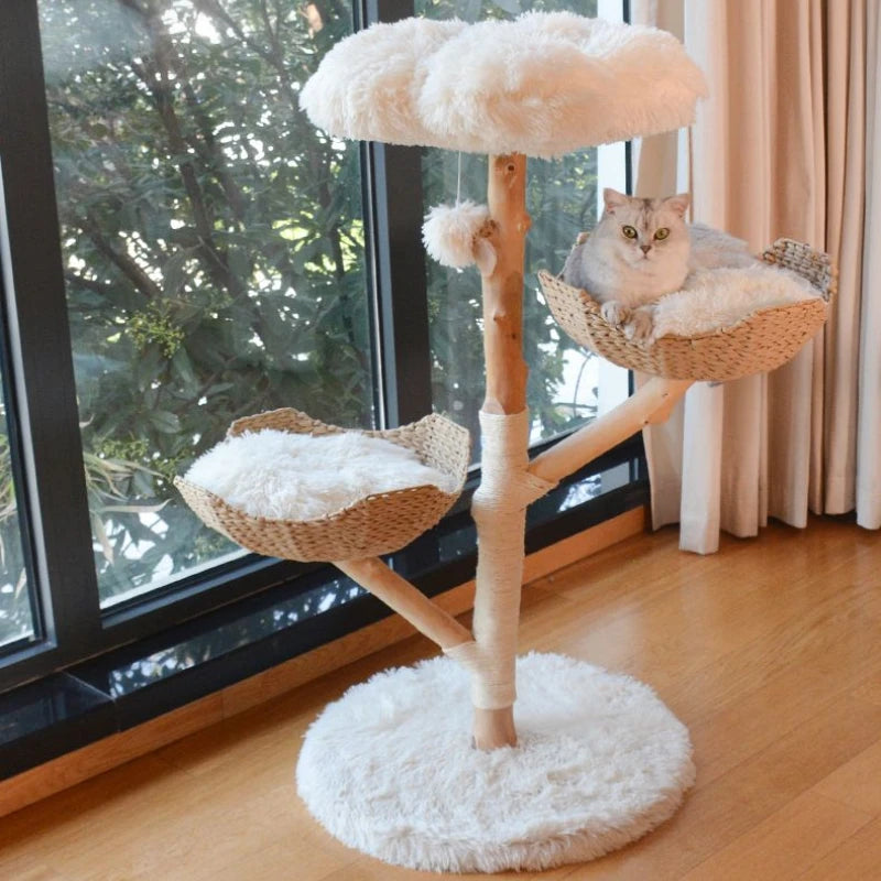 Natural Fruit Wood Climbing Flower Bed Tree