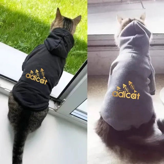 Adicat Sports Cat Hoodie