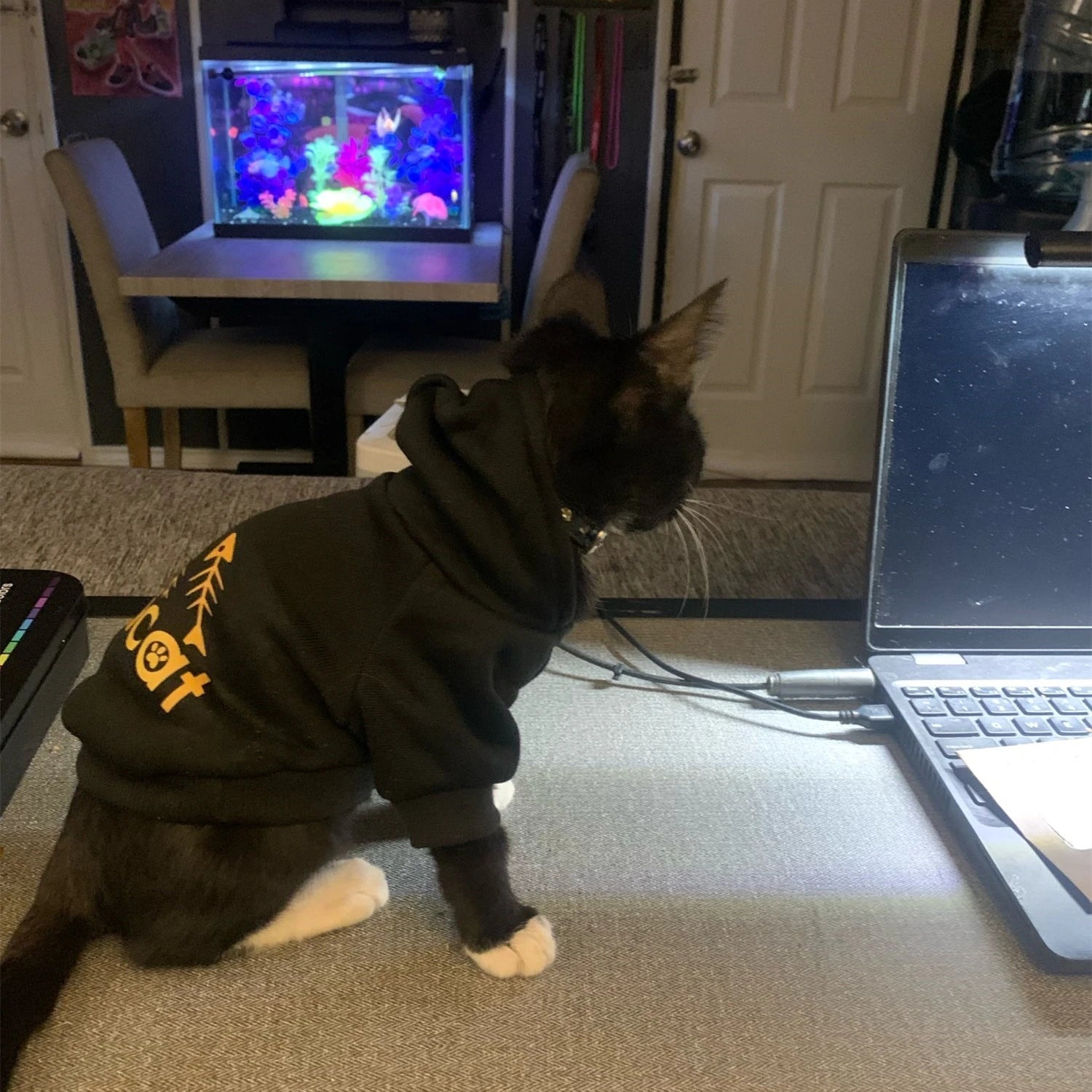 Adicat Sports Cat Hoodie