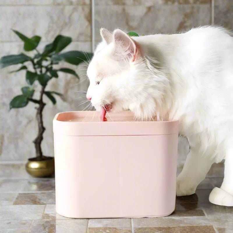Automatic Electric Mute USB Cat Water Fountain with Filter Radar Induction