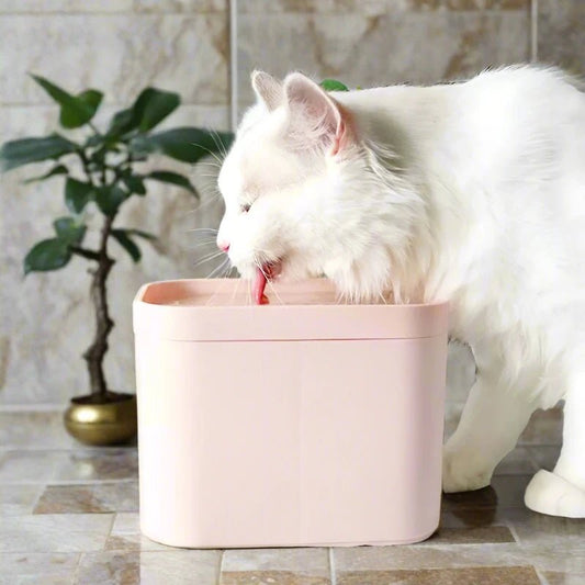 Automatic Electric Mute USB Cat Water Fountain with Filter Radar Induction