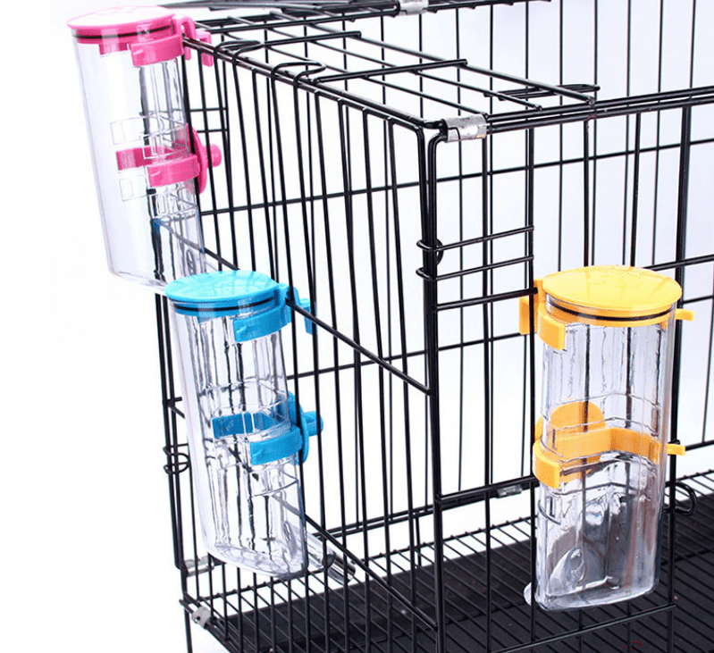 Automatic Pet Waterer and Dog Feeder