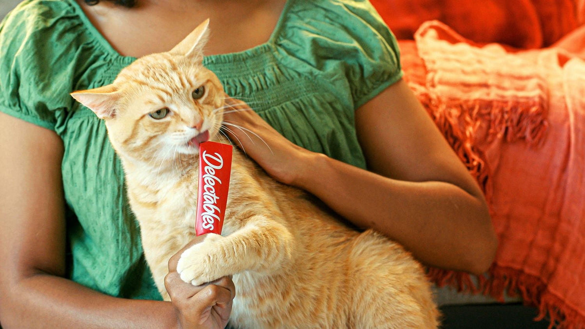 Delectables Chicken, Tuna & Salmon Squeeze Up™ Cat Treats 54 Pack