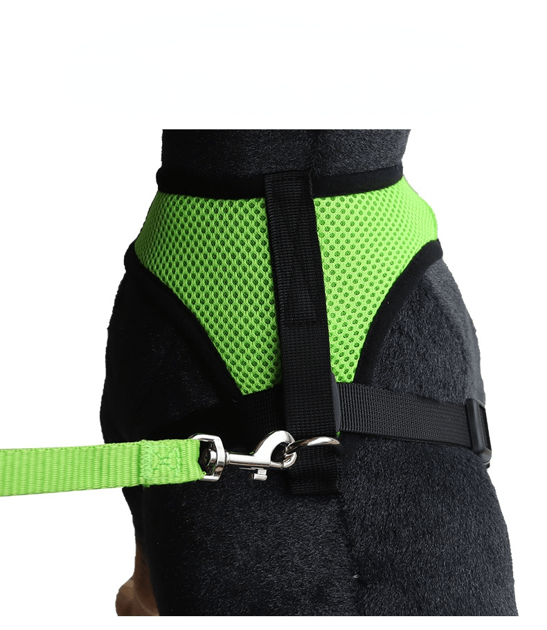 Breathable Reflective Cat Harness with Adjustable Lead Leash