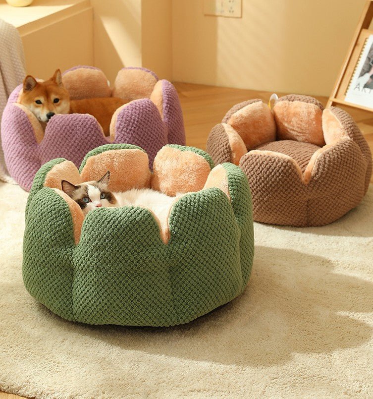 Cactus Petal Cat Nest