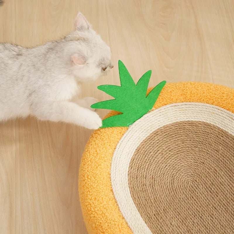 Carrot Sisal Scratching Bed Board