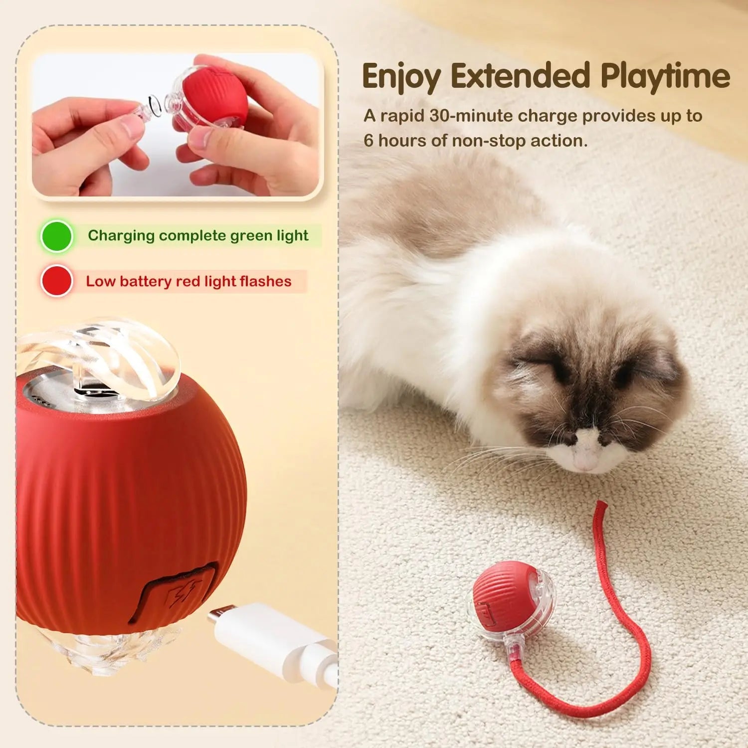 Cat Automatic Rolling Ball
