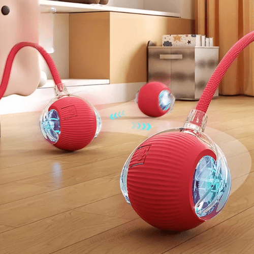 Cat Automatic Rolling Ball