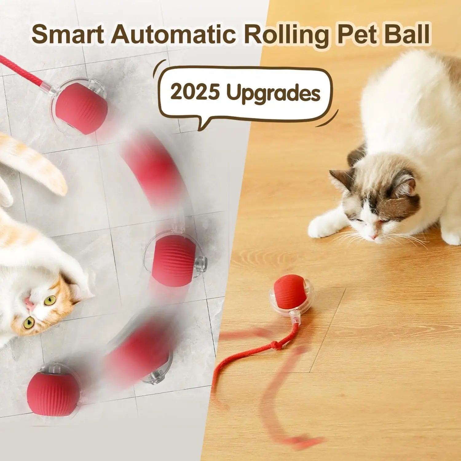 Cat Automatic Rolling Ball