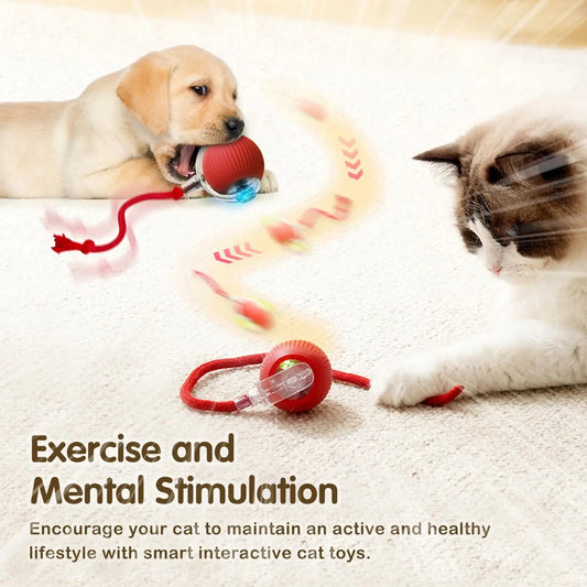 Cat Automatic Rolling Ball