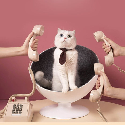 Cat Boss Fiber Spinning White Interactive Rotary Pet Nest