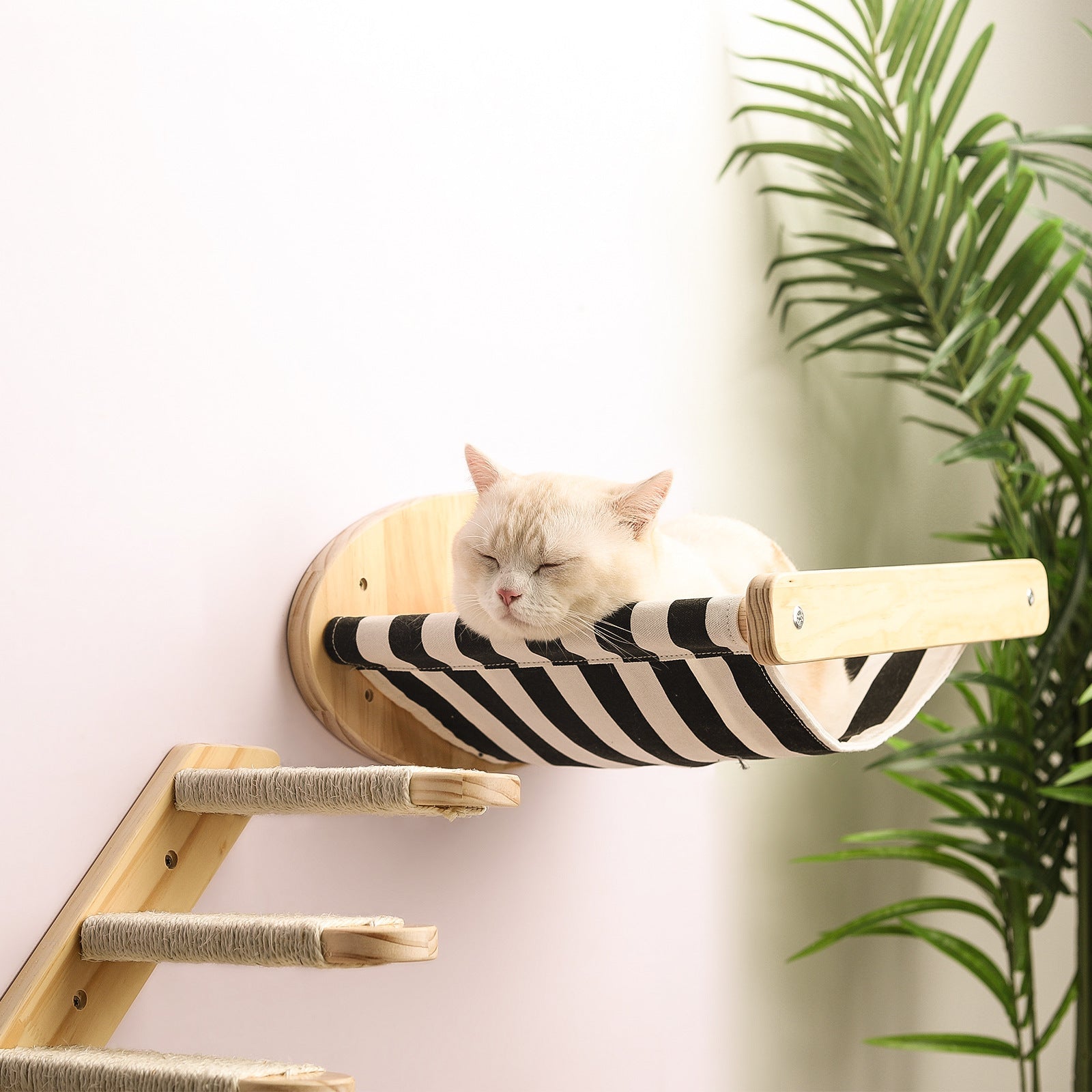 Cat Climbing Frame Wall-Mounted Solid Wood Wall Set with Hanging Perch