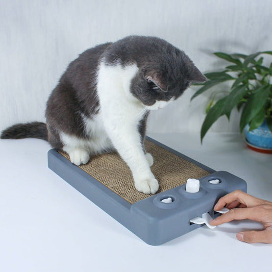 Cat Corrugated Scratching Board