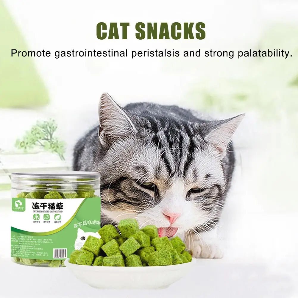 Cat Grass Freezedried Cat Snack for Hairballs and Teeth Grinding
