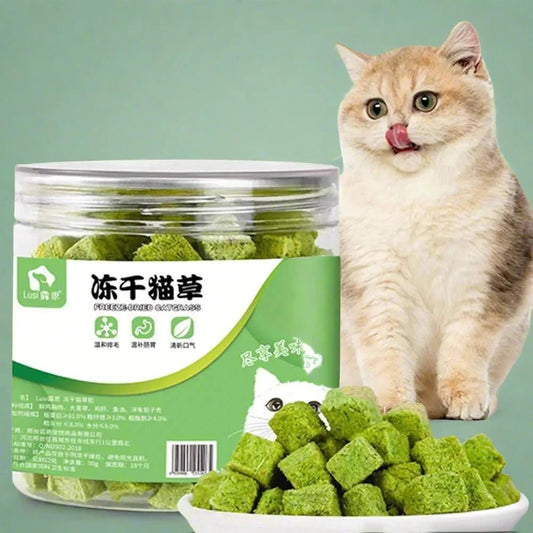 Cat Grass Freezedried Cat Snack for Hairballs and Teeth Grinding