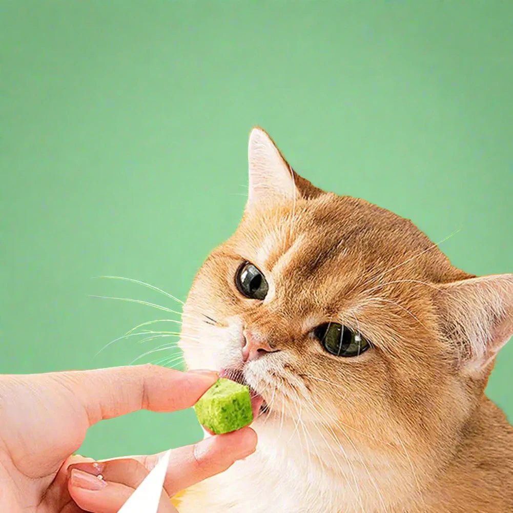 Cat Grass Freezedried Cat Snack for Hairballs and Teeth Grinding