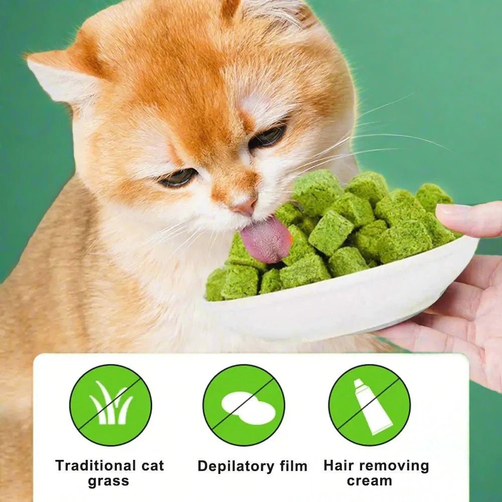 Cat Grass Freezedried Cat Snack for Hairballs and Teeth Grinding