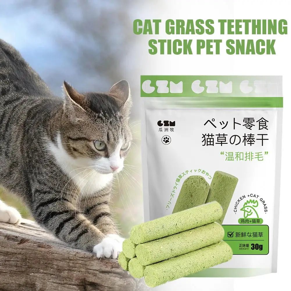 Cat Grass Teeth Grinding Stick (6 Pieces)