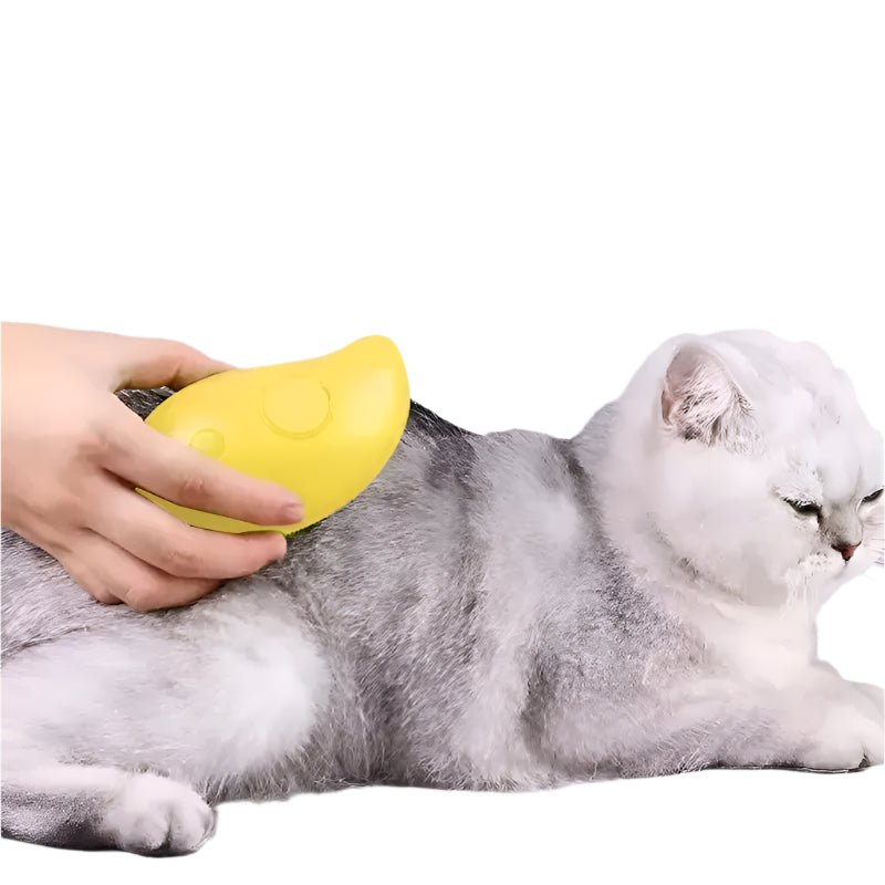 Cat Steamy Brush